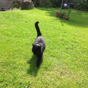 In Praise of Nothing