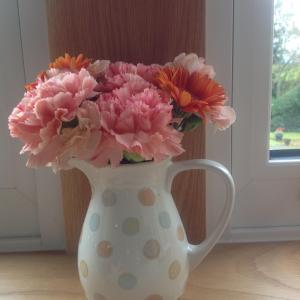 The Best Place for You